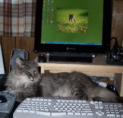 Fluffy by Computer XP